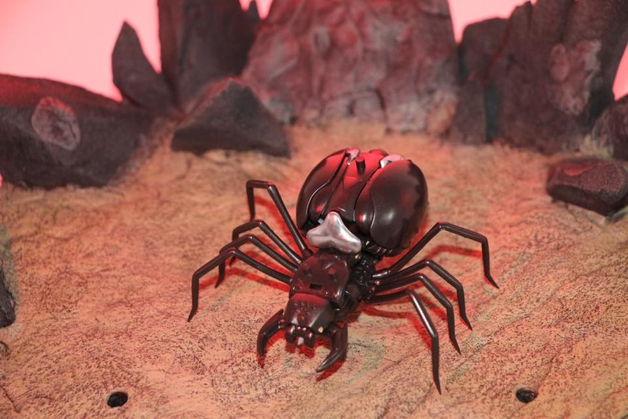 Wild Beast War Mm001 Unnoffical Blackarachnia From Transform Element Toys  (7 of 9)